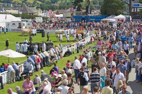 Royal Welsh Show 2010 Huge Success